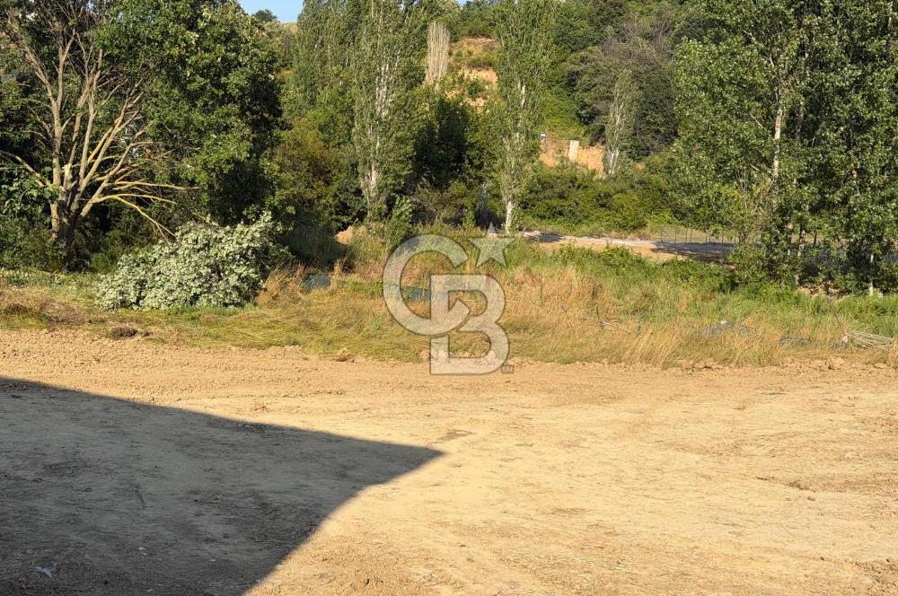  YALOVA TERMAL AKKÖYDE SATILIK DENİZ MANZARALI 908M2 ARSA!