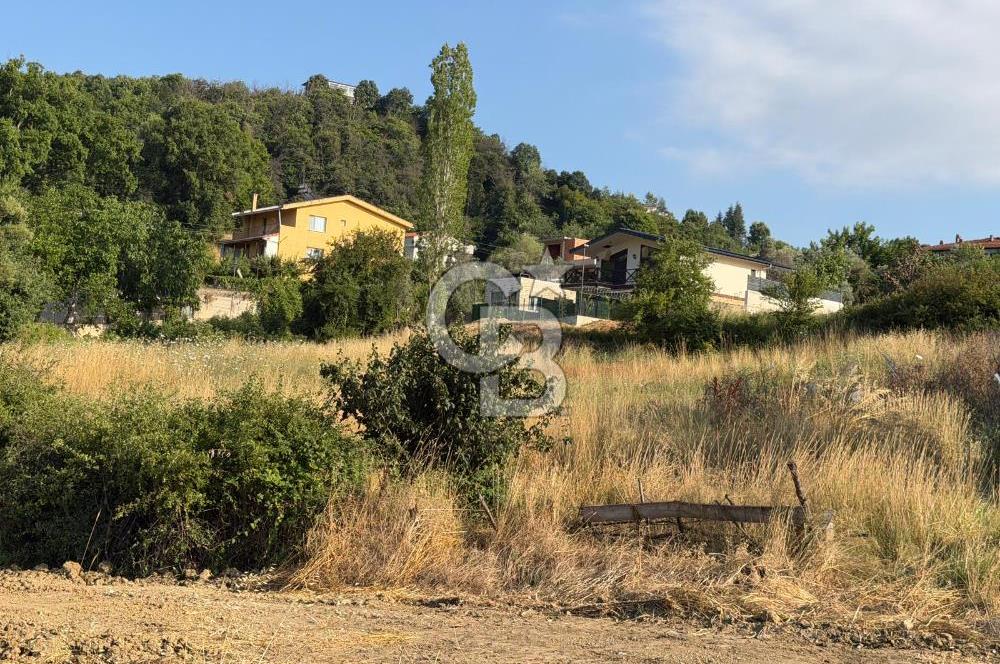  YALOVA TERMAL AKKÖYDE SATILIK DENİZ MANZARALI 908M2 ARSA!