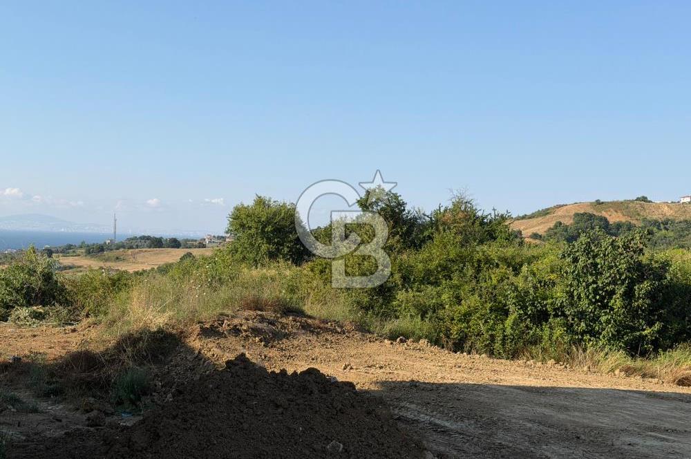 YALOVA TERMAL AKKÖYDE SATILIK DENİZ MANZARALI 908M2 ARSA!