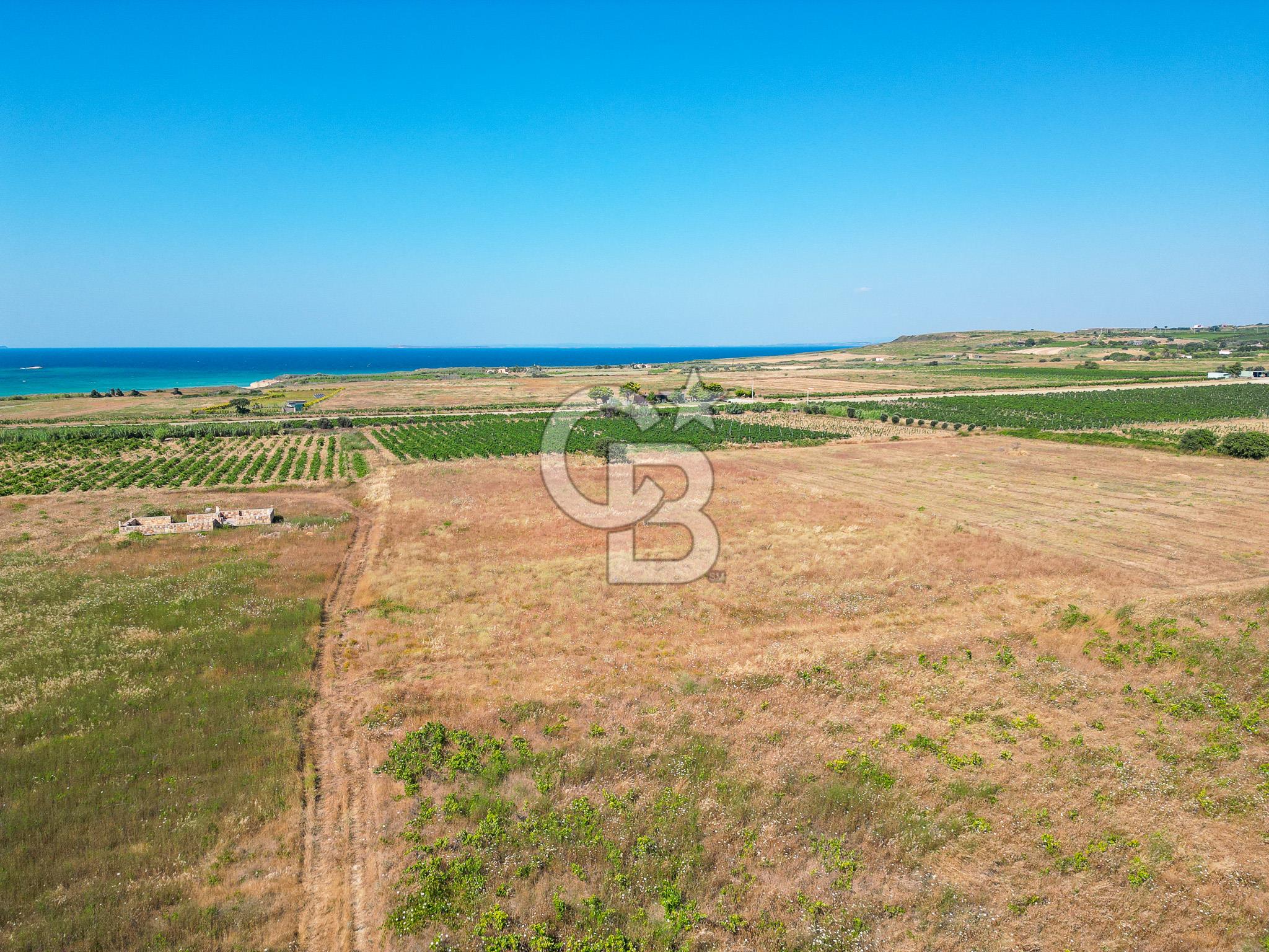 ÇANAKKALE BOZCAADA OVA MEVKİİNDE DENİZE YAKIN SATILIK FIRSAT BAĞ