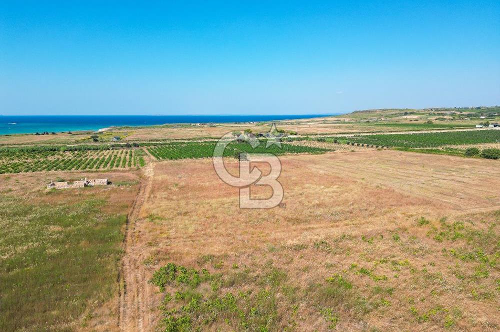 ÇANAKKALE BOZCAADA OVA MEVKİİNDE DENİZE YAKIN SATILIK FIRSAT BAĞ