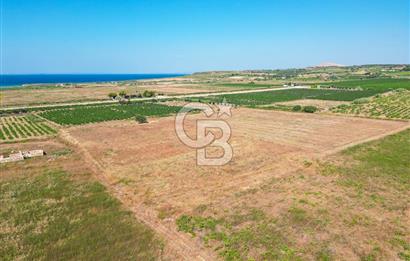 ÇANAKKALE BOZCAADA OVA MEVKİİNDE DENİZE YAKIN SATILIK FIRSAT BAĞ