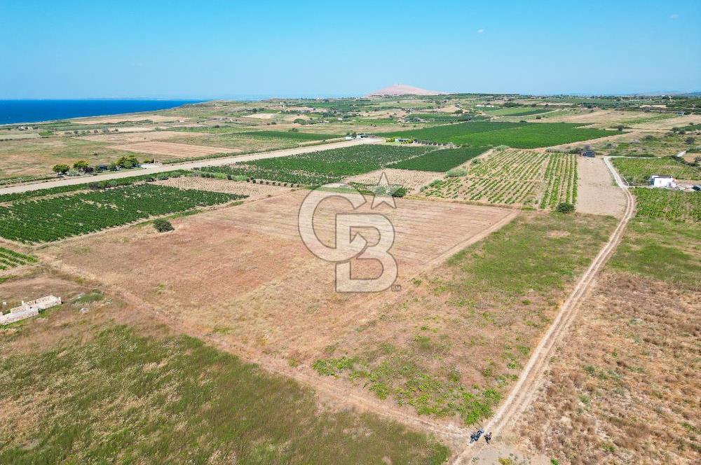 ÇANAKKALE BOZCAADA OVA MEVKİİNDE DENİZE YAKIN SATILIK FIRSAT BAĞ