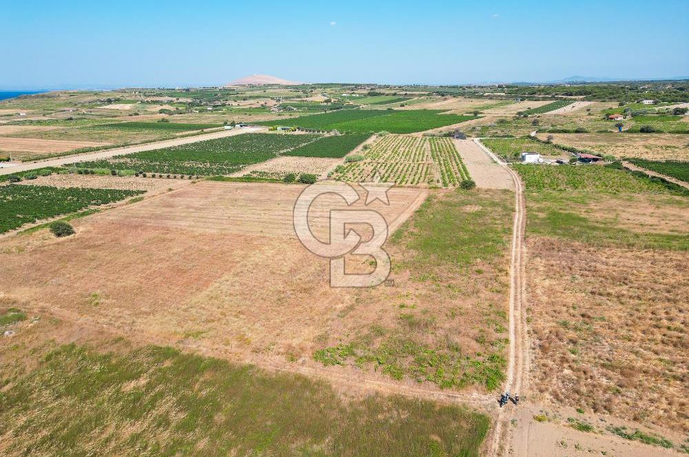 ÇANAKKALE BOZCAADA OVA MEVKİİNDE DENİZE YAKIN SATILIK FIRSAT BAĞ