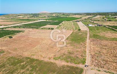 ÇANAKKALE BOZCAADA OVA MEVKİİNDE DENİZE YAKIN SATILIK FIRSAT BAĞ