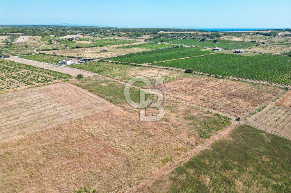 ÇANAKKALE BOZCAADA OVA MEVKİİNDE DENİZE YAKIN SATILIK FIRSAT BAĞ