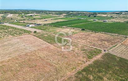ÇANAKKALE BOZCAADA OVA MEVKİİNDE DENİZE YAKIN SATILIK FIRSAT BAĞ