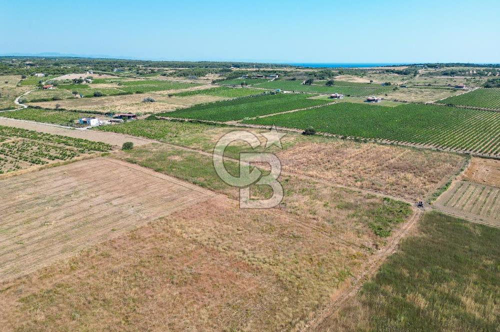 ÇANAKKALE BOZCAADA OVA MEVKİİNDE DENİZE YAKIN SATILIK FIRSAT BAĞ