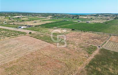 ÇANAKKALE BOZCAADA OVA MEVKİİNDE DENİZE YAKIN SATILIK FIRSAT BAĞ