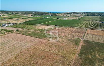 ÇANAKKALE BOZCAADA OVA MEVKİİNDE DENİZE YAKIN SATILIK FIRSAT BAĞ