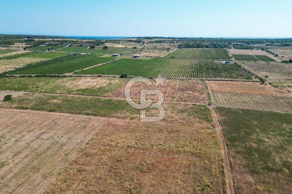 ÇANAKKALE BOZCAADA OVA MEVKİİNDE DENİZE YAKIN SATILIK FIRSAT BAĞ