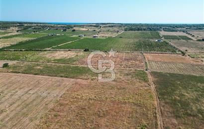 ÇANAKKALE BOZCAADA OVA MEVKİİNDE DENİZE YAKIN SATILIK FIRSAT BAĞ