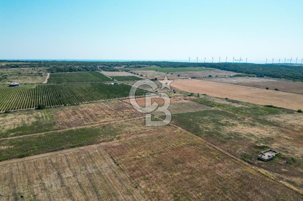 ÇANAKKALE BOZCAADA OVA MEVKİİNDE DENİZE YAKIN SATILIK FIRSAT BAĞ