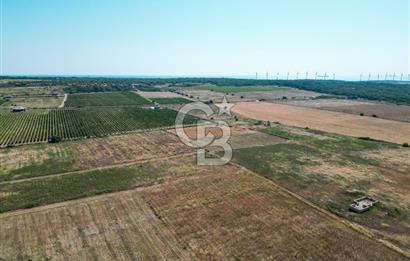 ÇANAKKALE BOZCAADA OVA MEVKİİNDE DENİZE YAKIN SATILIK FIRSAT BAĞ