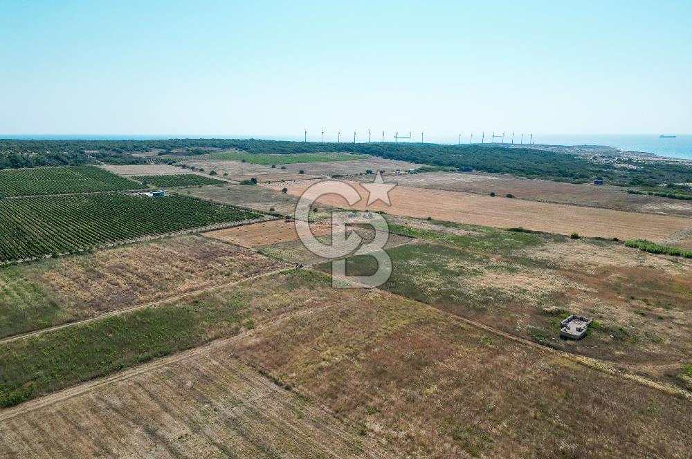 ÇANAKKALE BOZCAADA OVA MEVKİİNDE DENİZE YAKIN SATILIK FIRSAT BAĞ