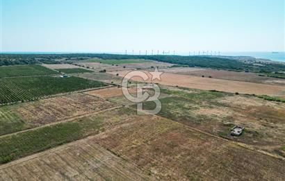 ÇANAKKALE BOZCAADA OVA MEVKİİNDE DENİZE YAKIN SATILIK FIRSAT BAĞ