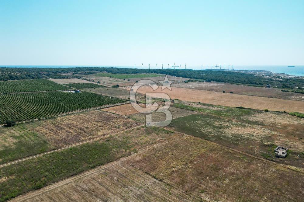 ÇANAKKALE BOZCAADA OVA MEVKİİNDE DENİZE YAKIN SATILIK FIRSAT BAĞ