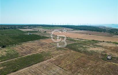 ÇANAKKALE BOZCAADA OVA MEVKİİNDE DENİZE YAKIN SATILIK FIRSAT BAĞ