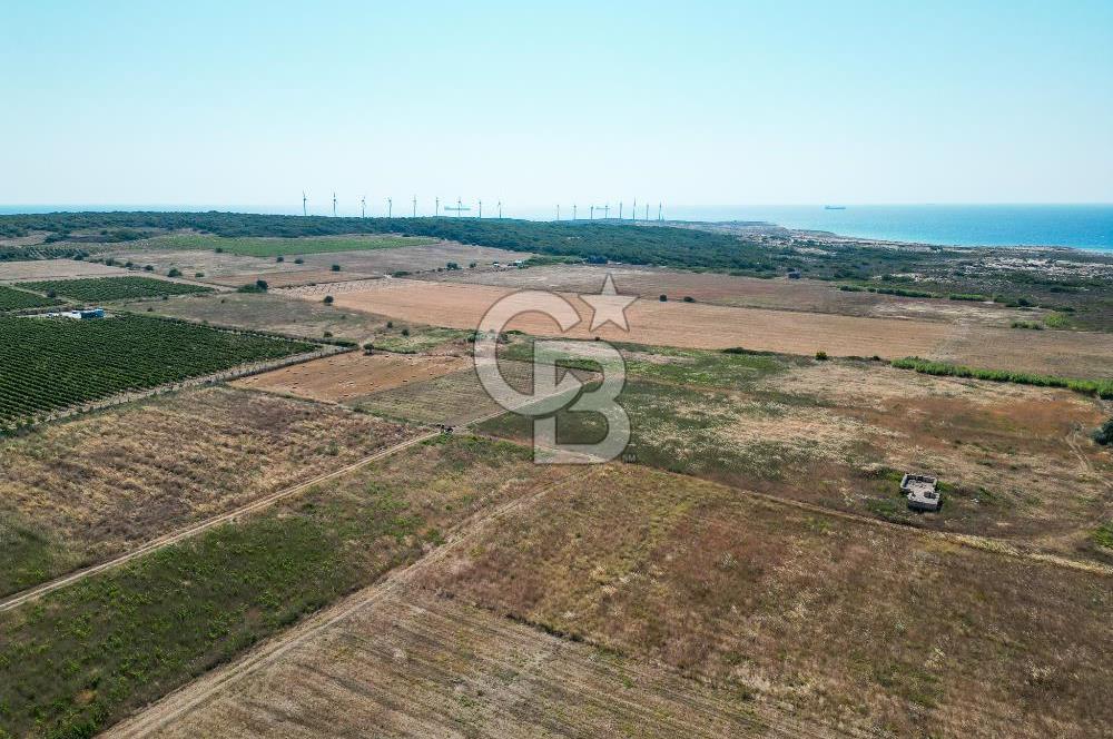 ÇANAKKALE BOZCAADA OVA MEVKİİNDE DENİZE YAKIN SATILIK FIRSAT BAĞ