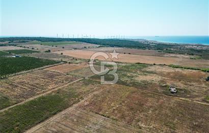 ÇANAKKALE BOZCAADA OVA MEVKİİNDE DENİZE YAKIN SATILIK FIRSAT BAĞ