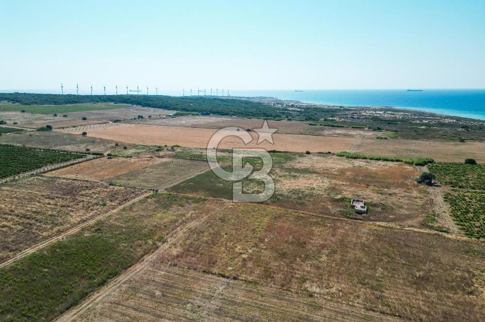 ÇANAKKALE BOZCAADA OVA MEVKİİNDE DENİZE YAKIN SATILIK FIRSAT BAĞ