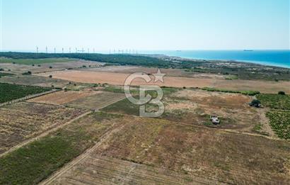 ÇANAKKALE BOZCAADA OVA MEVKİİNDE DENİZE YAKIN SATILIK FIRSAT BAĞ