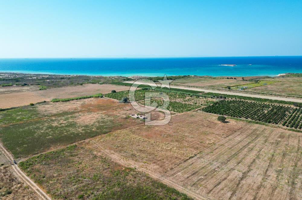 ÇANAKKALE BOZCAADA OVA MEVKİİNDE DENİZE YAKIN SATILIK FIRSAT BAĞ