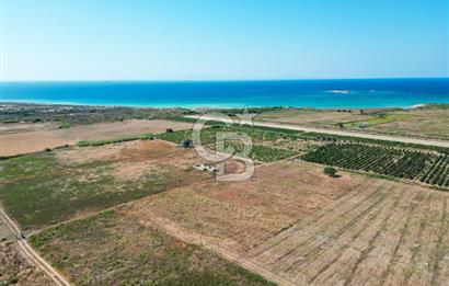 ÇANAKKALE BOZCAADA OVA MEVKİİNDE DENİZE YAKIN SATILIK FIRSAT BAĞ