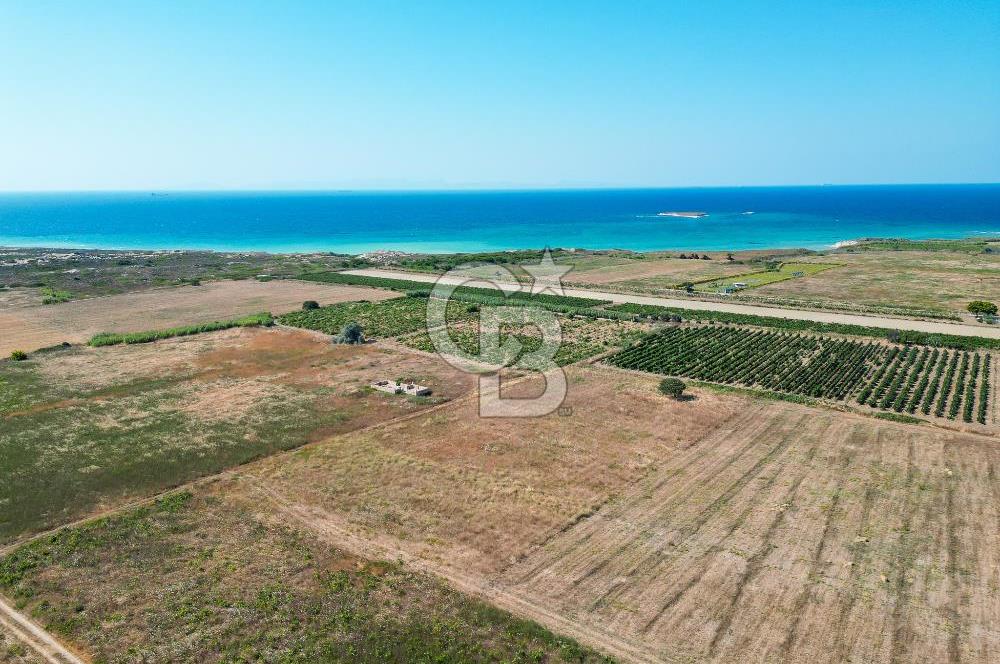 ÇANAKKALE BOZCAADA OVA MEVKİİNDE DENİZE YAKIN SATILIK FIRSAT BAĞ