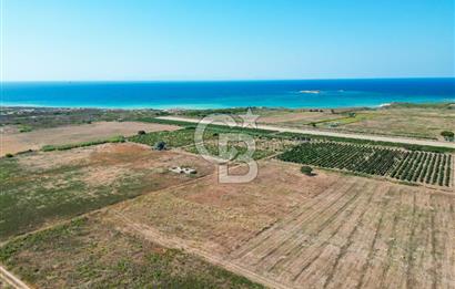 ÇANAKKALE BOZCAADA OVA MEVKİİNDE DENİZE YAKIN SATILIK FIRSAT BAĞ