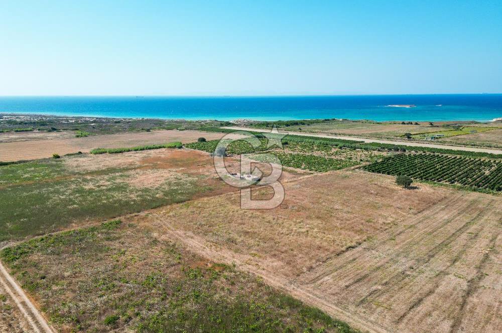 ÇANAKKALE BOZCAADA OVA MEVKİİNDE DENİZE YAKIN SATILIK FIRSAT BAĞ