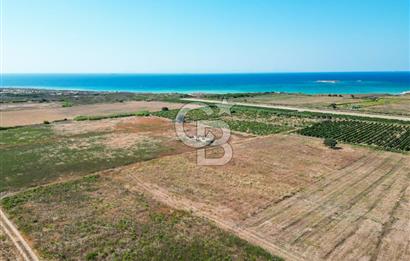 ÇANAKKALE BOZCAADA OVA MEVKİİNDE DENİZE YAKIN SATILIK FIRSAT BAĞ
