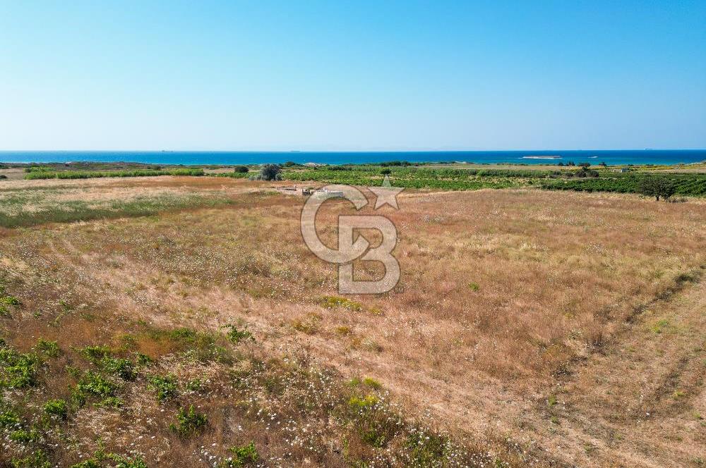 ÇANAKKALE BOZCAADA OVA MEVKİİNDE DENİZE YAKIN SATILIK FIRSAT BAĞ