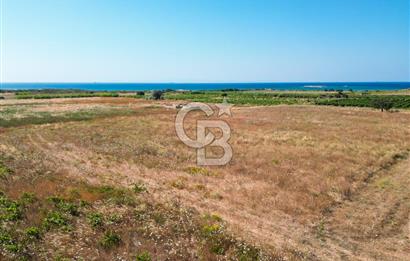 ÇANAKKALE BOZCAADA OVA MEVKİİNDE DENİZE YAKIN SATILIK FIRSAT BAĞ
