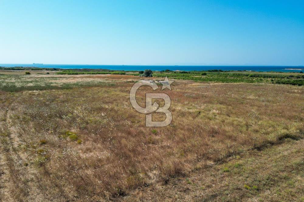 ÇANAKKALE BOZCAADA OVA MEVKİİNDE DENİZE YAKIN SATILIK FIRSAT BAĞ
