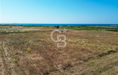ÇANAKKALE BOZCAADA OVA MEVKİİNDE DENİZE YAKIN SATILIK FIRSAT BAĞ