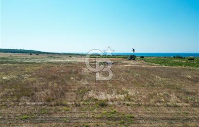 ÇANAKKALE BOZCAADA OVA MEVKİİNDE DENİZE YAKIN SATILIK FIRSAT BAĞ