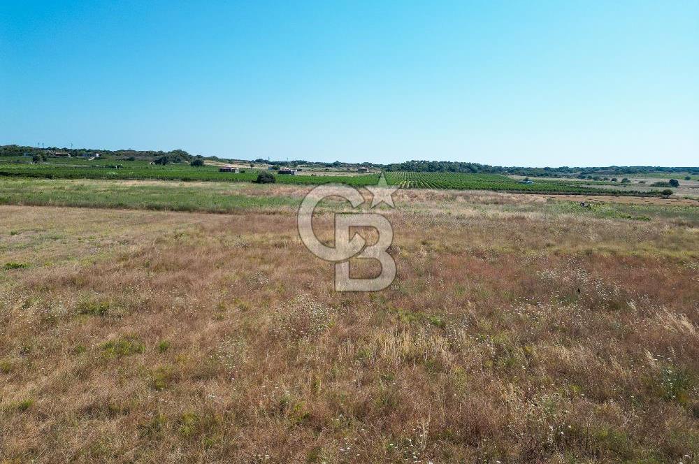 ÇANAKKALE BOZCAADA OVA MEVKİİNDE DENİZE YAKIN SATILIK FIRSAT BAĞ