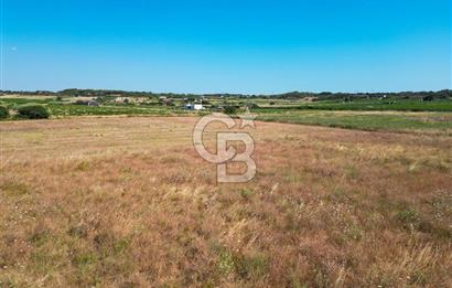 ÇANAKKALE BOZCAADA OVA MEVKİİNDE DENİZE YAKIN SATILIK FIRSAT BAĞ