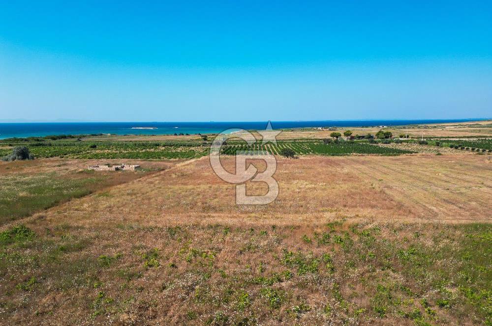 ÇANAKKALE BOZCAADA OVA MEVKİİNDE DENİZE YAKIN SATILIK FIRSAT BAĞ