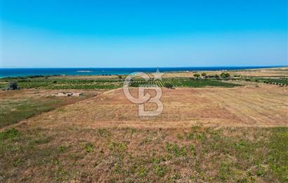 ÇANAKKALE BOZCAADA OVA MEVKİİNDE DENİZE YAKIN SATILIK FIRSAT BAĞ