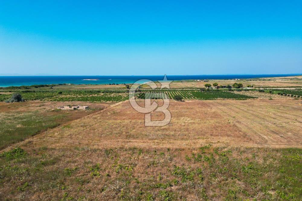 ÇANAKKALE BOZCAADA OVA MEVKİİNDE DENİZE YAKIN SATILIK FIRSAT BAĞ
