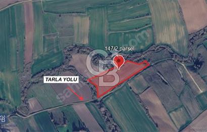 TEKİRDAĞ SARAY'DA 588 M2 SATILIK TARLA