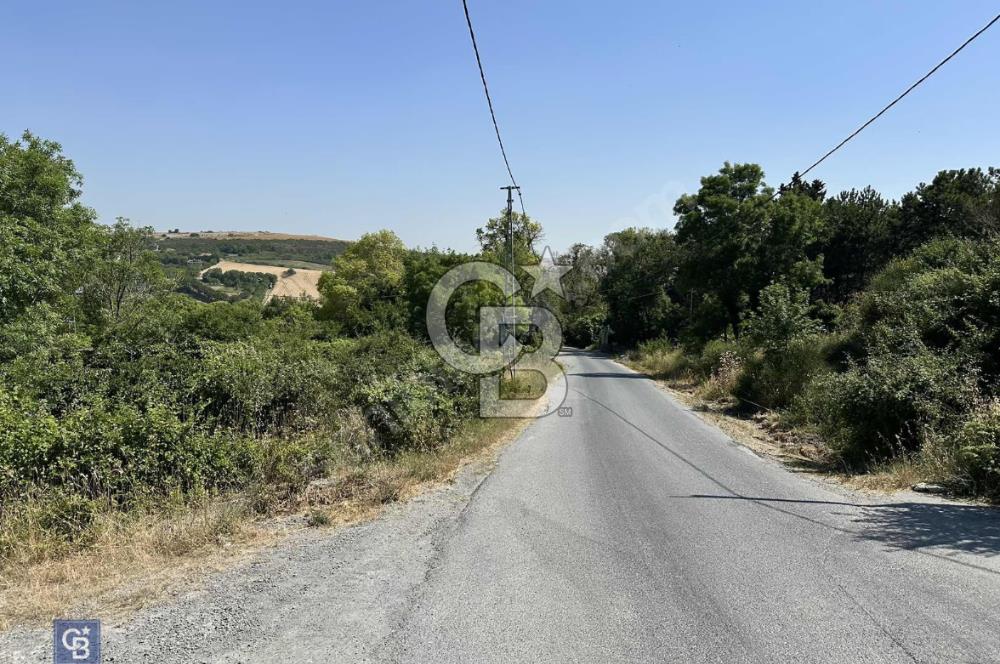 Dursunköy'de Satılık 388 m² Arsa - Yatırım Fırsatı