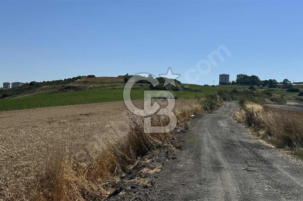 Dursunköy'de Satılık 388 m² Arsa - Yatırım Fırsatı