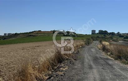 Dursunköy'de Satılık 388 m² Arsa - Yatırım Fırsatı