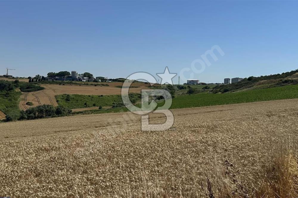 Dursunköy'de Satılık 388 m² Arsa - Yatırım Fırsatı