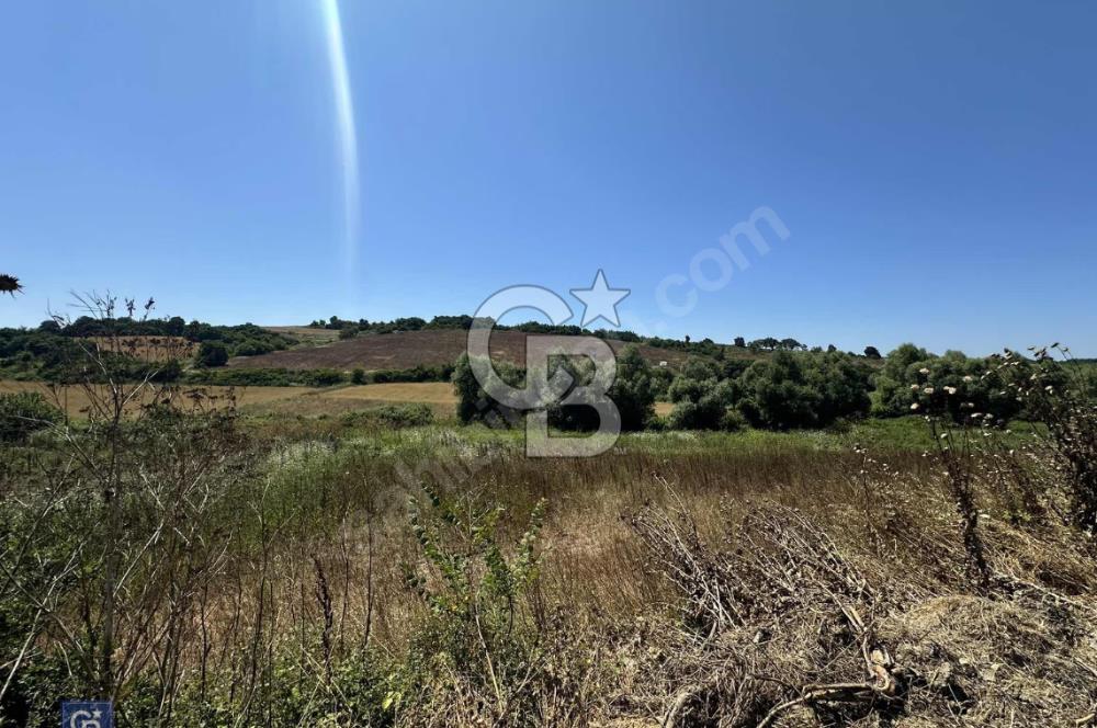 Satılık Tek Tapu, 5650m² Cadde Cepheli Arsa