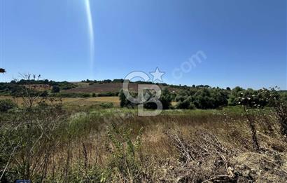 Satılık Tek Tapu, 5650m² Cadde Cepheli Arsa