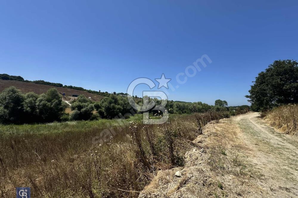 Satılık Tek Tapu, 5650m² Cadde Cepheli Arsa